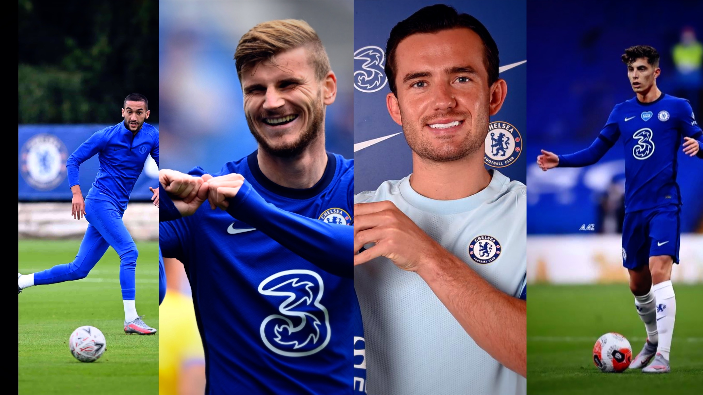 50吨植物油精炼设备