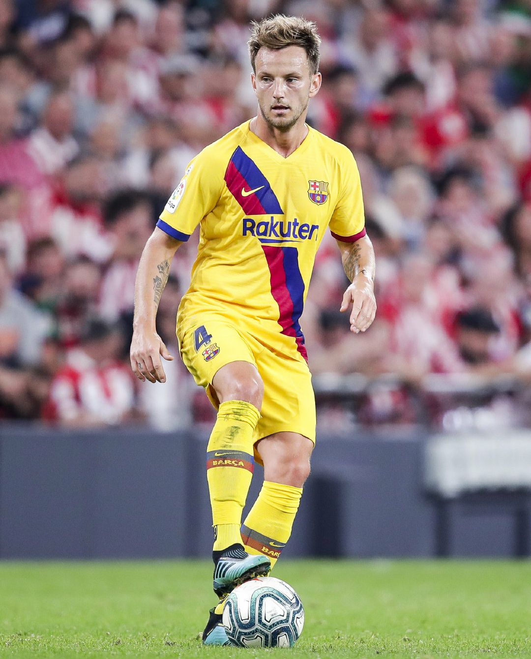 动物油脂精炼设备