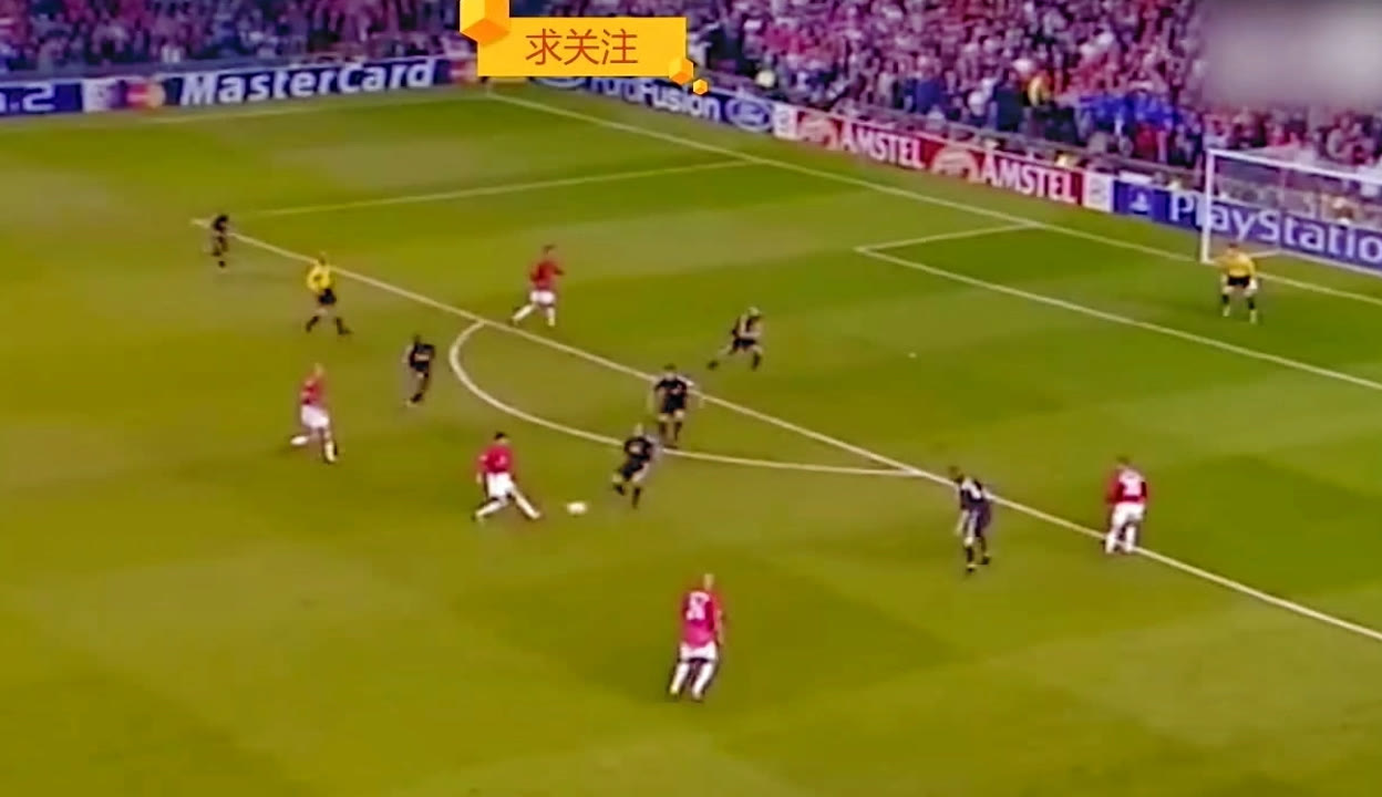 动物油脂精炼设备